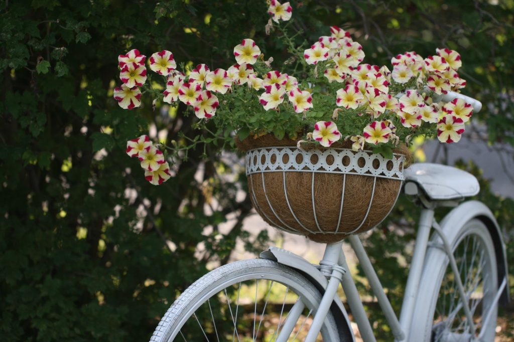 bike with flowers